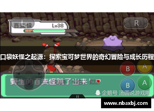 口袋妖怪之起源：探索宝可梦世界的奇幻冒险与成长历程